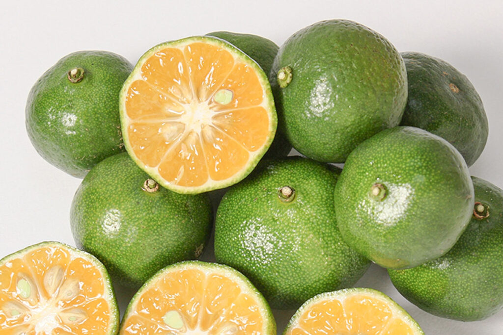 シークワーサー